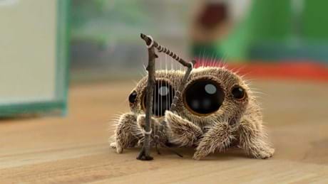 Lucas The Spider 0101 C