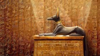 Tutankhamun’s golden 100th Anniversary on DStv