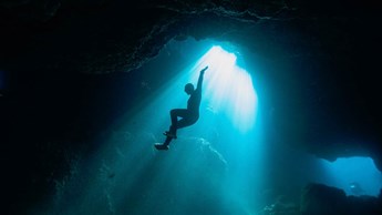 Premium holiday reality & doccie adventures in April 2022