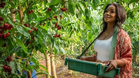 Homegrown Tastes South Africa Ep5 7490