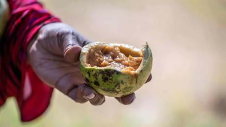 Homegrown Tastes South Africa Ep2 2 33