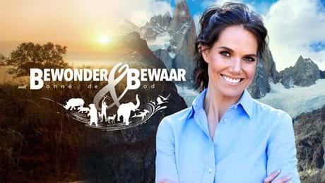 Bewonder&Bewaar Met Bonne De Bod 2560X1440 Background