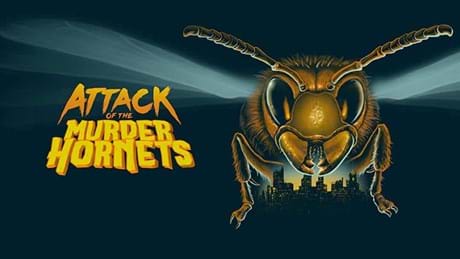 Attack Of The Murder Hornets 1
