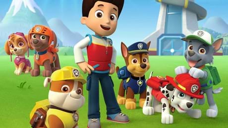 Paw Patrol Hero