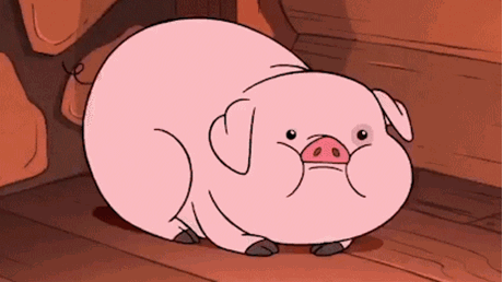 Item 491 Gravity Falls 9 71451