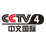 447 CCTV 4