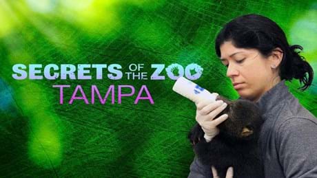 Secrets Of The Zoo Tampa (1)