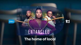 Entangled returns to 1Magic