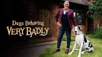 Catch Dogs Behaving (Very) Badly