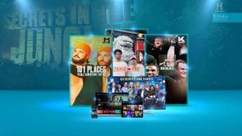 Celebrate the festive season with DStv Compact Plus