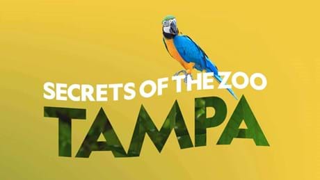 Secrets Of The Zoo Tampa