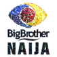 198 Big Brother Naija