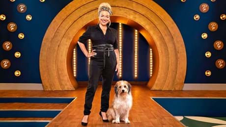 Pooch Perfect UK