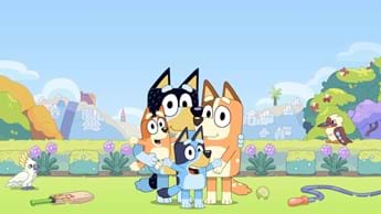 Colouring with Bluey!