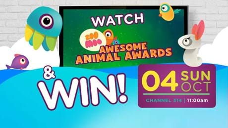 Zoomoo Watch Win Competition