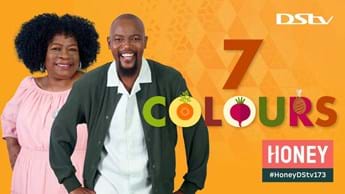 Welcome To 7 Colours