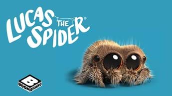 Boop! It’s Lucas The Spider