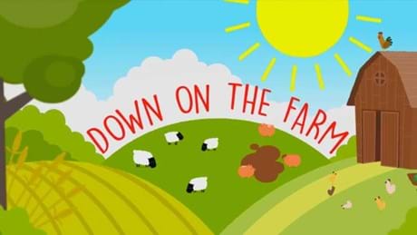 Down On The Farm