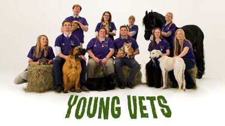 Young Vets